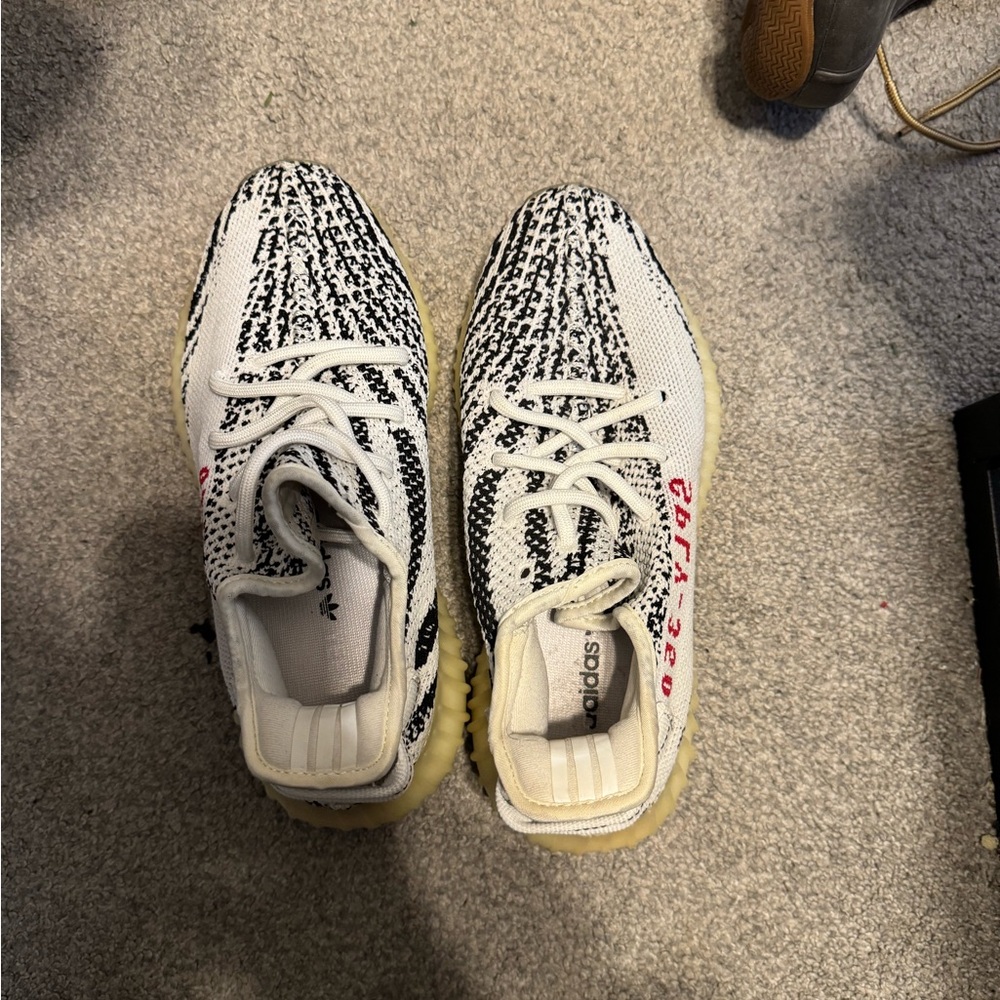 Yeezy sply 350 zebra